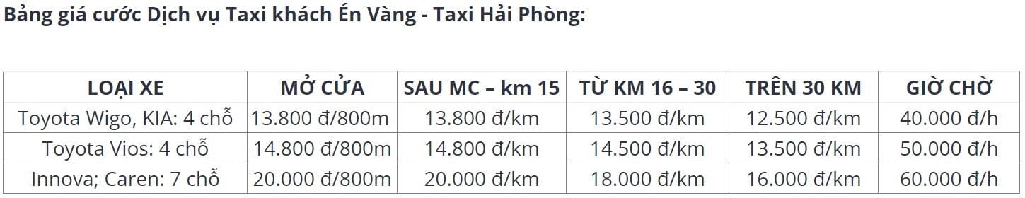 Sau Hà Nội và TP.HCM, người dân Hải Phòng sắp được trải nghiệm taxi điện VinFast nhưng lại từ một hãng taxi truyền thống quen thuộc - Ảnh 4.