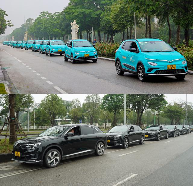 Hai dịch vụ taxi điện, GreenCar (tiêu chuẩn) và LuxuryCar (cao cấp)
