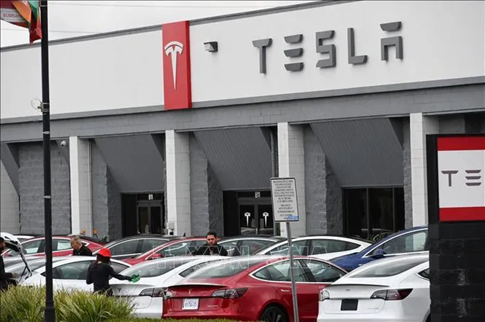 Phòng trưng bày của Tesla ở California, Mỹ. Ảnh: AFP/TTXVN